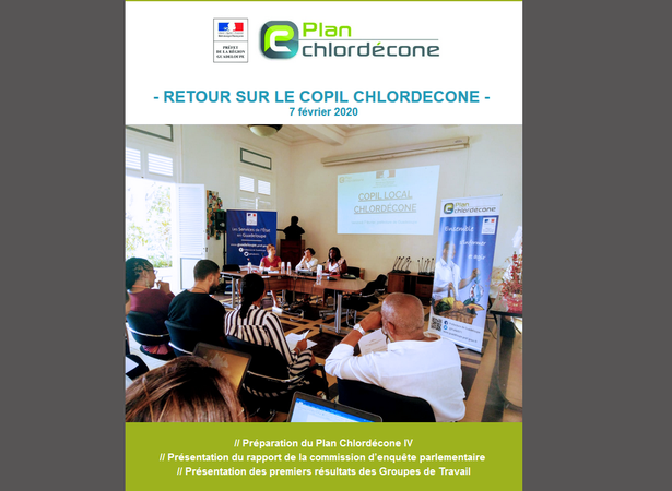 2020-02-18 09_48_23-Plan Chlordécone - retour sur le COPIL du 7 février 2020