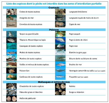 Listes des espèces dont la pêche est interdite dans les zones d'interdiction partielle